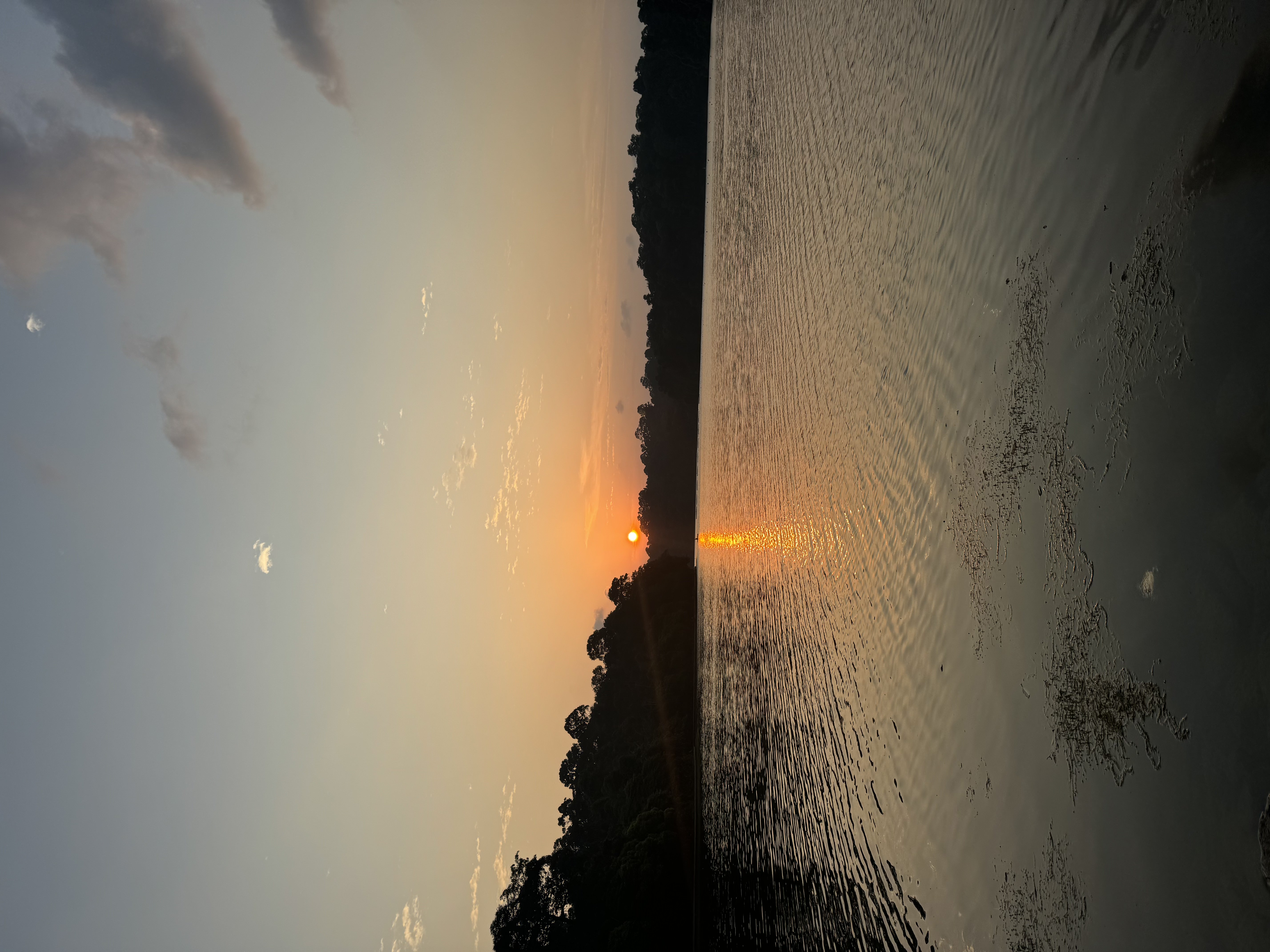 MacRitchie Reservoir